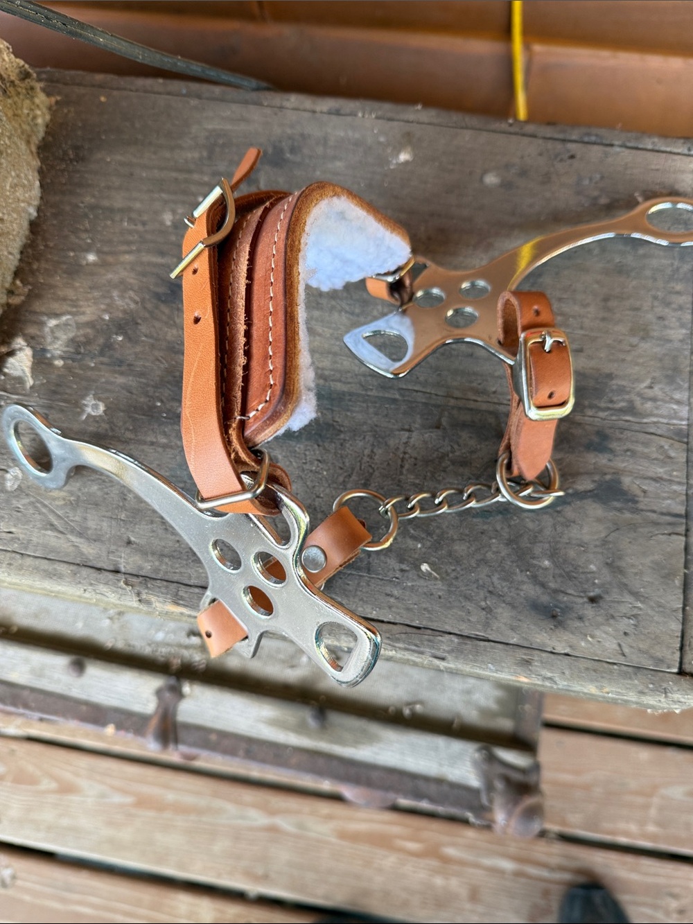 English hackamore